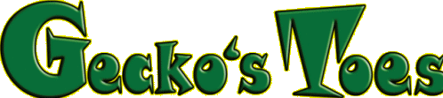 Gecko's Toes